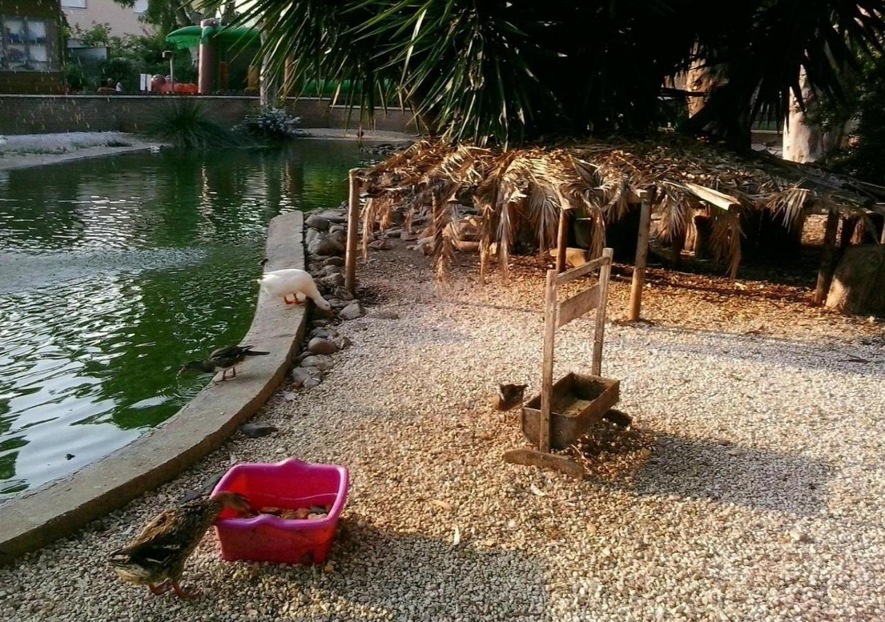 Appartamento Fenix To Rome Santa Marinella Esterno foto